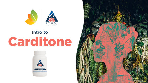Carditone by Ayush Herbs: A Natural Solution for Healthy Blood Pressure