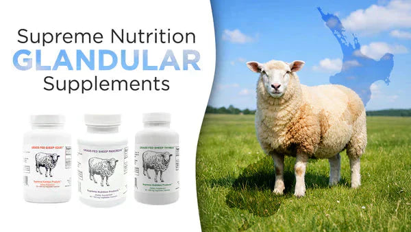 The Power of Glandular Supplements: What Modern Diets Are Missing