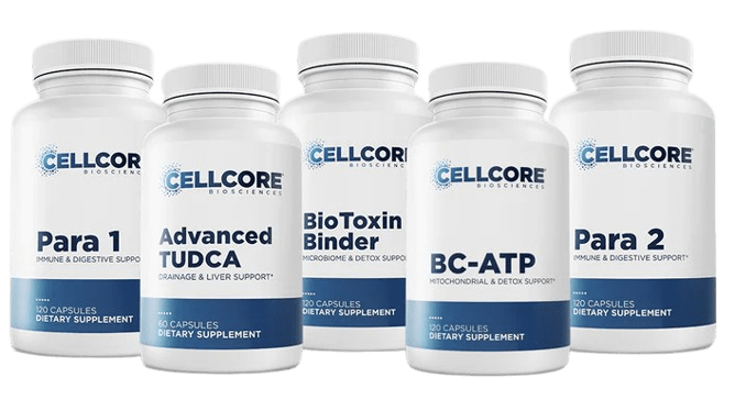 Phase 2: Gut & Immune Support Default Category CellCore 