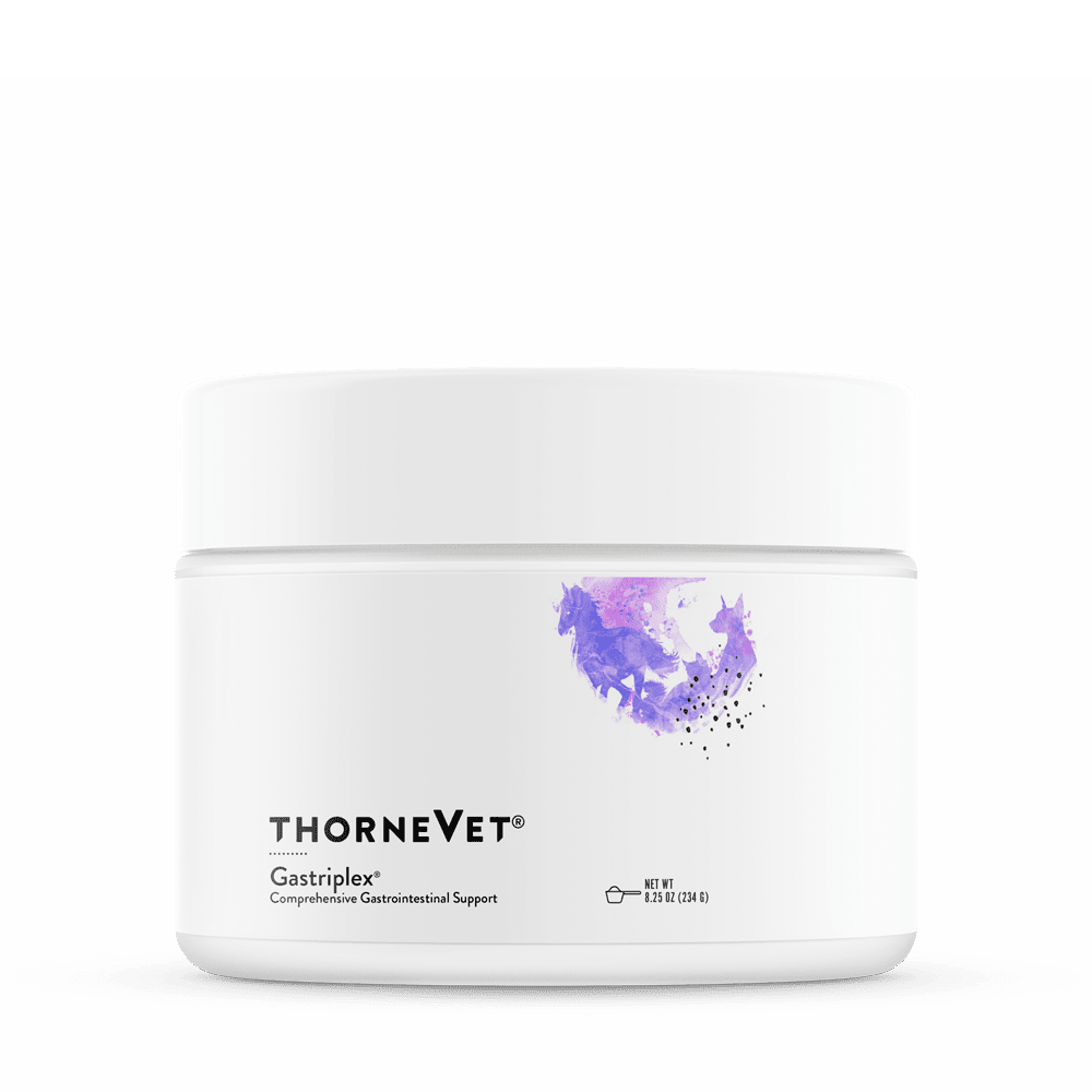 Gut Health Powder (formerly Gastriplex®) - 180 Scoops | Healthy Habits ...