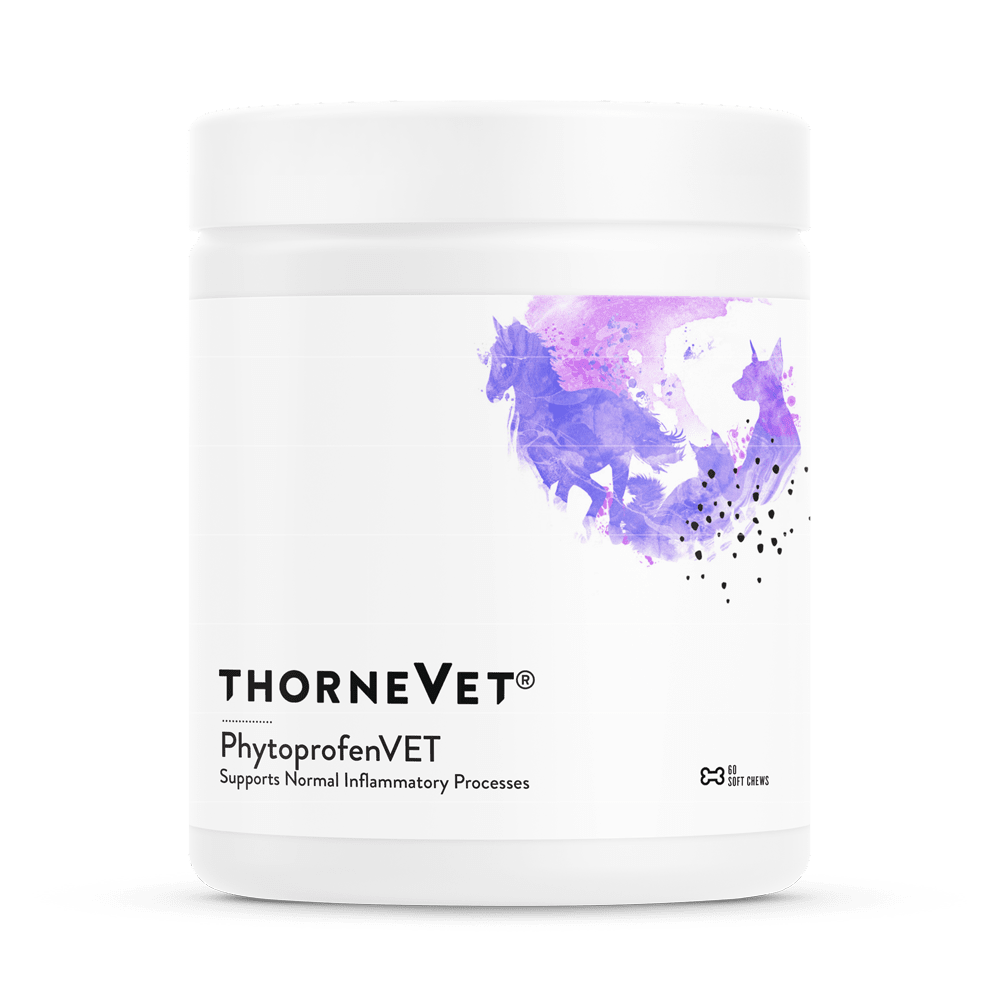 PhytoprofenVET - 60 Soft Chews Default Category Thorne Vet 
