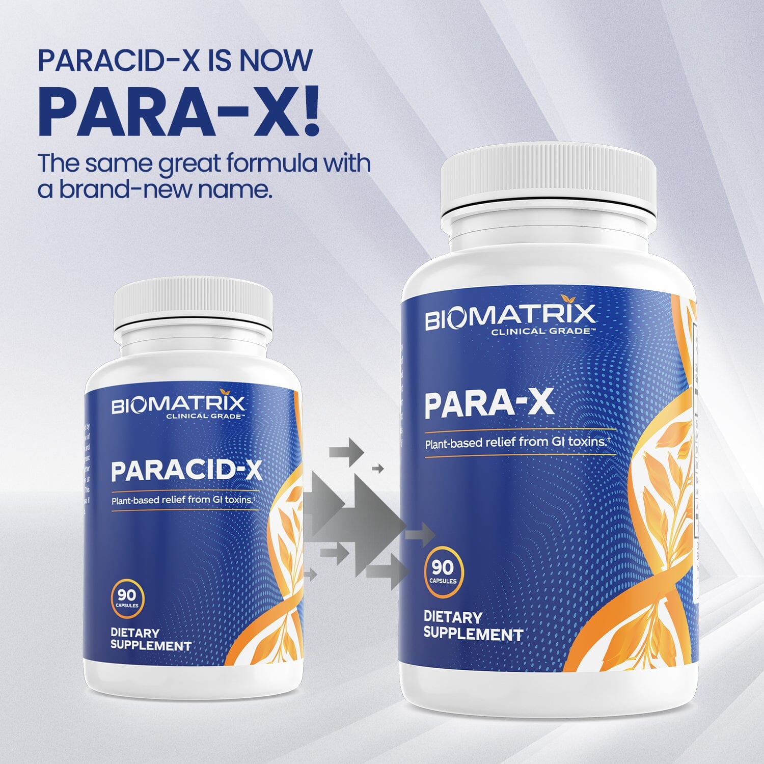 Para-X (formerly Paracid-X) - 90 Capsules | Healthy Habits Living
