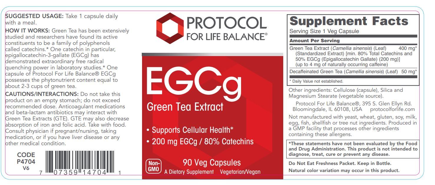 EGCg 90 Capsules Healthy Habits Living