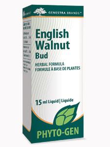 English Walnut Bud - 0.5oz Default Category Genestra 