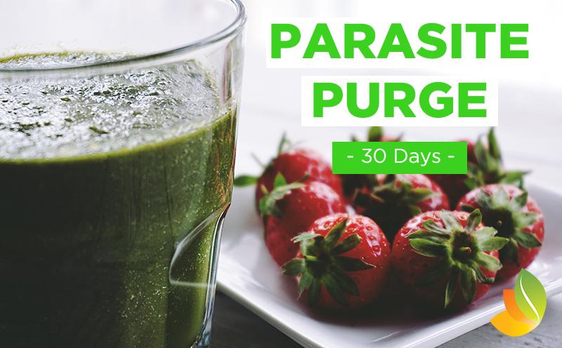 Parasite Purge - 1 Month Coaching Guide Healthy Habits Living 